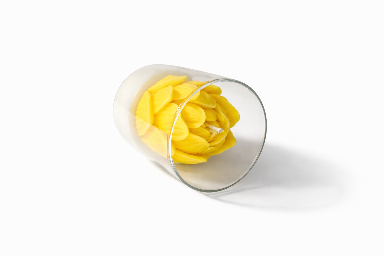 Лотос желтый   — фото 2